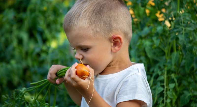 Enfant qui croque dans une carotte