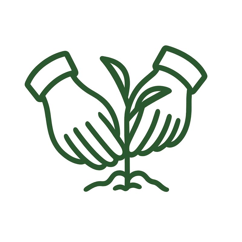 Illustration de mains qui plantent une bouture